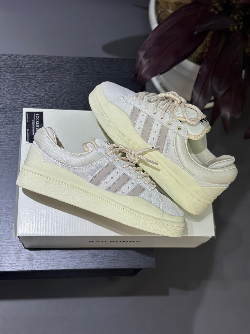 Adidas Campus Bad Bunny Beige