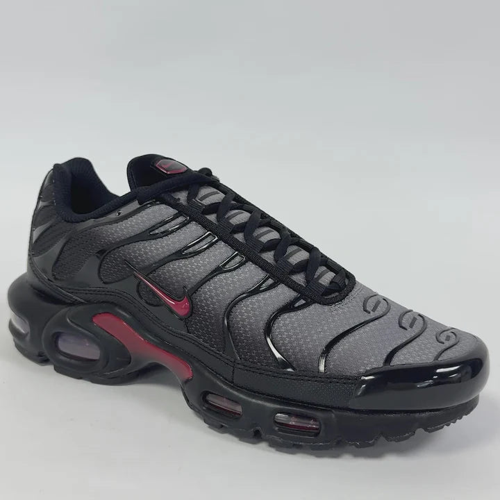 Nike Air Max TN Gris