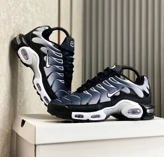 Nike Air Max TN Gris