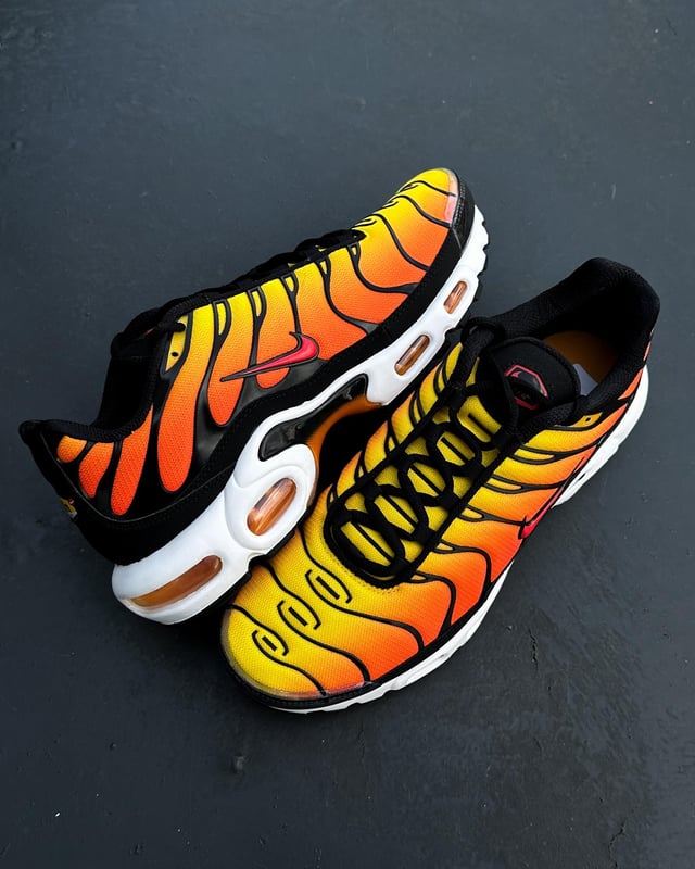 Nike Air Max TN Multicolor