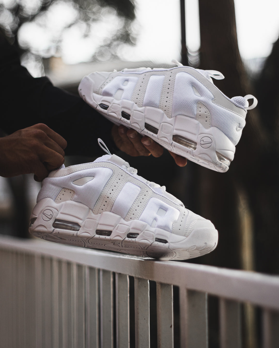 Nike UPTEMPO LOW BLANCO